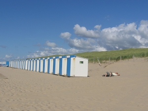 Omgeving Schoorl